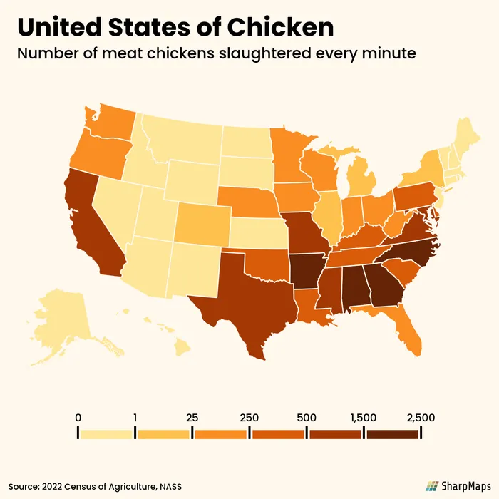 Visualizing how many meat chickens are slaughtered every single minute in the different states of the US based on data from the Census of Agriculture.